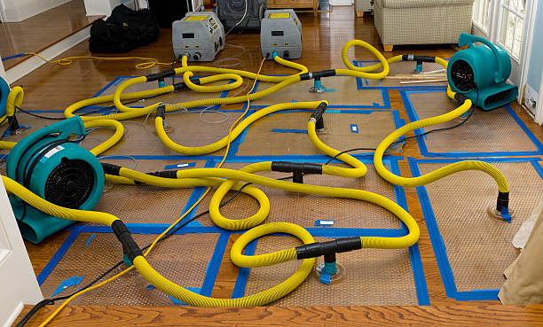 Professional Crawl Space Water Removal technician working in Big Rapids, MI